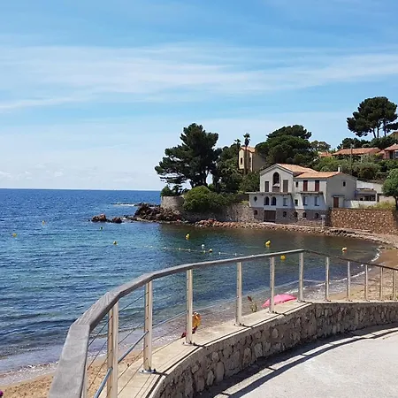 Camille Piscine Vue * Carqueiranne